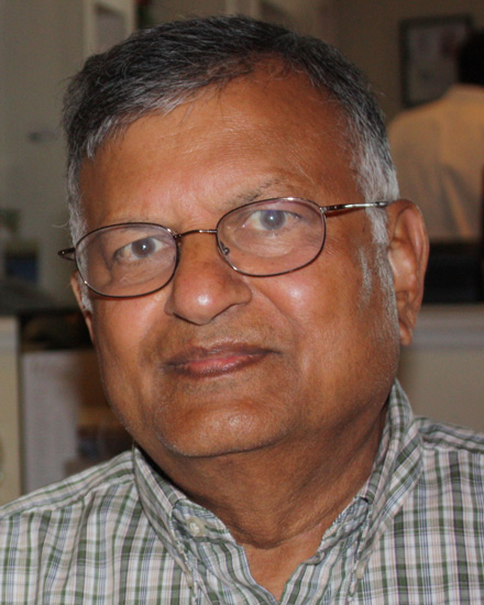 Lalu Mansinha